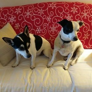 Meet your Posher, Morgandawn